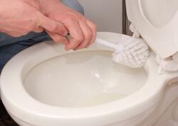 Tualet fırçasına bir az vurun, sürtün – ərp ləkələri dərhal yox olur