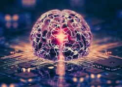 Əsl insan beynindən hazırlanan kompüterlər gəlir