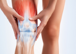 Qığırdaq və sümükləri “gəncləşdirən” dərman tapıldı - Elm dünyasında inqilab