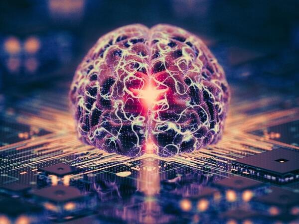 Əsl insan beynindən hazırlanan kompüterlər gəlir