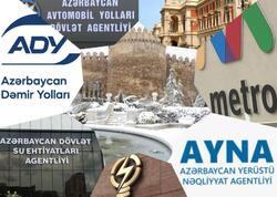 Qurumlar qışa necə hazırlaşır? - Açıqlama