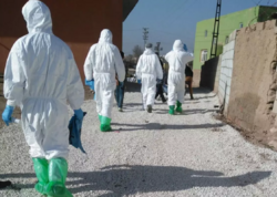 Türkiyədə virusa görə 11 kənd karantinə alındı