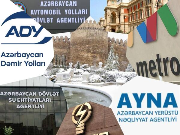 Qurumlar qışa necə hazırlaşır? - Açıqlama