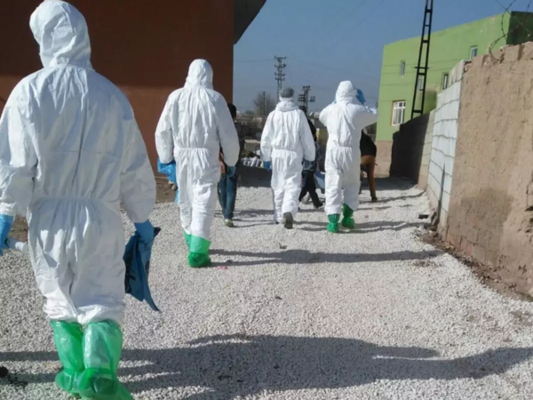 Türkiyədə virusa görə 11 kənd karantinə alındı