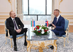 Prezidentin Rixard Raşi ilə təkbətək və geniş tərkibdə görüşləri olub - FOTO