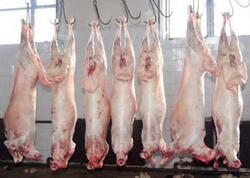 Monqol quzularının kəsilmə şəraiti - &quot;Ən çox restoranlar alır&quot; - VİDEO