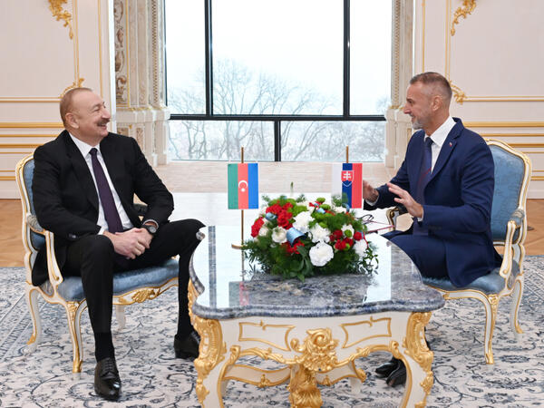 Prezidentin Rixard Raşi ilə təkbətək və geniş tərkibdə görüşləri olub - FOTO