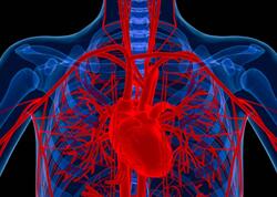 Alimlər xəstənin öz hüceyrələrindən damar hazırladı