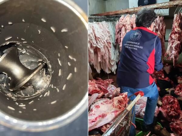 Ət maşınlarını qurd basıb - İyrənc görüntülər - VİDEO