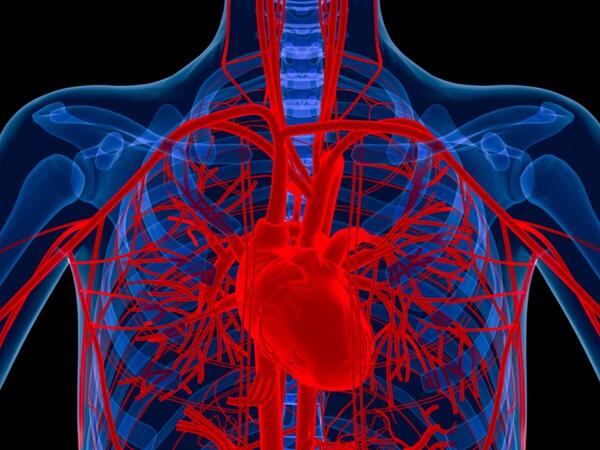 Alimlər xəstənin öz hüceyrələrindən damar hazırladı