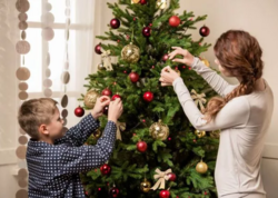 Yeni il &quot;yolka&quot;ları barədə ciddi xəbərdarlıq -  Evə gətirdiyimiz təhlükə