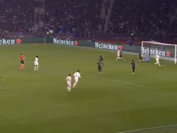 Koxalskinin möhtəşəm seyvi - <span class="color_red">VİDEO</span>