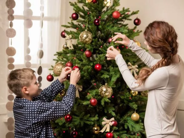Yeni il &quot;yolka&quot;ları barədə ciddi xəbərdarlıq -  Evə gətirdiyimiz təhlükə