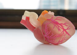 Ürək hüceyrə terapiyasını daha təhlükəsiz edən YENİ ÜSUL