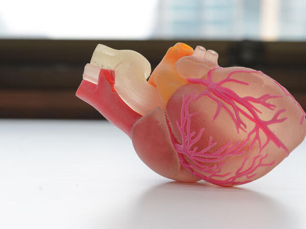 Ürək hüceyrə terapiyasını daha təhlükəsiz edən YENİ ÜSUL