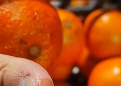 İrandan gətirilən portağal boyanır? - Ələ keçən rəng şübhə yaratdı