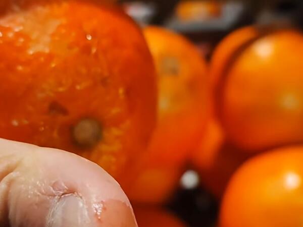 İrandan gətirilən portağal boyanır? - Ələ keçən rəng şübhə yaratdı