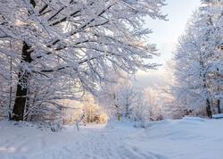 Azərbaycana qış fəsli bu tarixdə daxil olacaq