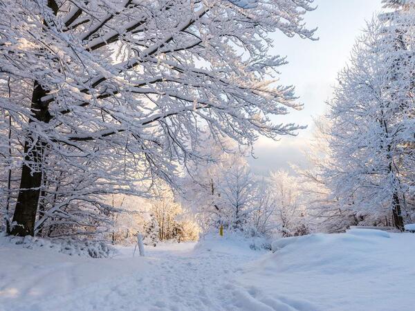 Azərbaycana qış fəsli bu tarixdə daxil olacaq