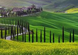 Bu şəhərə köçmək istəyənlərə 30 min dollar veriləcək