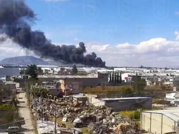 Meksikada təyyarə qəzaya uğradı - 7 nəfər həlak oldu - <span class="color_red">VİDEO</span>