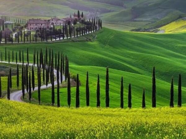 Bu şəhərə köçmək istəyənlərə 30 min dollar veriləcək