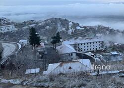 Laçına da qar yağır - FOTO