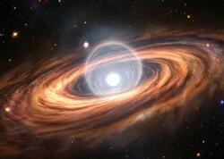 Alimlər cəhənnəmi tapdılar - FOTO