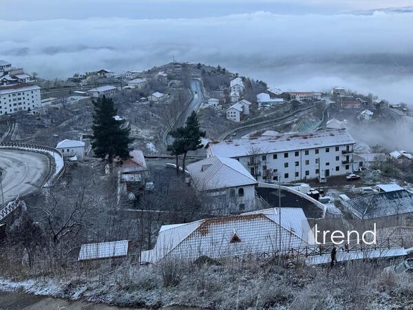 Laçına da qar yağır - FOTO