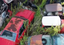 Tərk edilmiş lüks avtomobil salonu TAPILDI: nadir modellər heyrət doğurdu - <span class="color_red">FOTOlar</span>