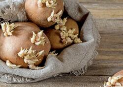 Kartof tez cücərir? - Bu üsullarla aylarla təzə saxlayın