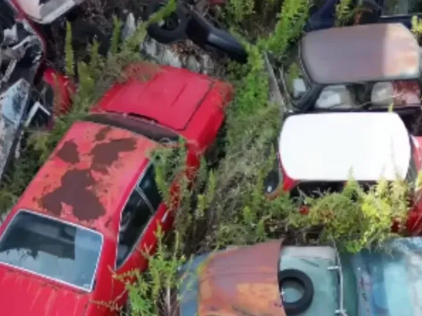 Tərk edilmiş lüks avtomobil salonu TAPILDI: nadir modellər heyrət doğurdu - <span class="color_red">FOTOlar</span>