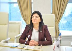 Avropa Parlamentinin qətnaməsi Azərbaycanın daxili işlərinə kobud müdaxilədir - Sevil Mikayılova