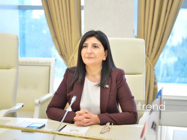 Avropa Parlamentinin qətnaməsi Azərbaycanın daxili işlərinə kobud müdaxilədir - Sevil Mikayılova