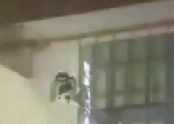 Məlhəm Hospitalda yanğın - <span class="color_red">VİDEO</span>