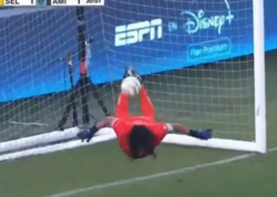 Əfsanəvi "əqrəb qurtarışı" təkrarlandı - VİDEO