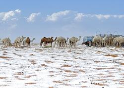 Səudiyyə Ərəbistanında ilk dəfə qar yağdı - 30 il sonra