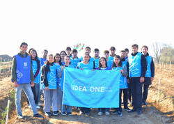 IDEA Bərdə və Beyləqanda kütləvi ağacəkmə aksiyaları təşkil edib -  FOTO