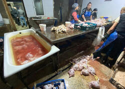 “Kənd toyuqları”nı bu vannalarda “istehsal edirmişlər” - <span class="color_red">FOTOlar</span>