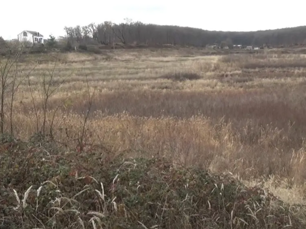 670 minə bataqlığı göl edəcəklər