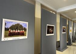 Gəncə Dövlət Filarmoniyasının "Həmrəyliyin rəngləri" adlı sərgi açılıb - FOTO