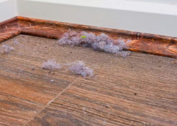 Plintus təmizliyi tarix olur: Kiçik amma təsirli metod