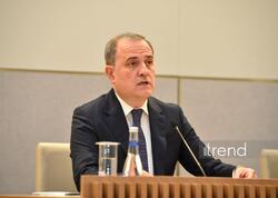 Azərbaycan hər zaman Ukraynanın ərazi bütövlüyünü dəstəkləyib - Nazir