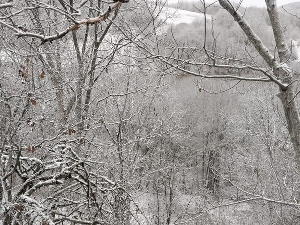 Ağdərəyə ilk qar yağdı - <span class="color_red">FOTO</span>