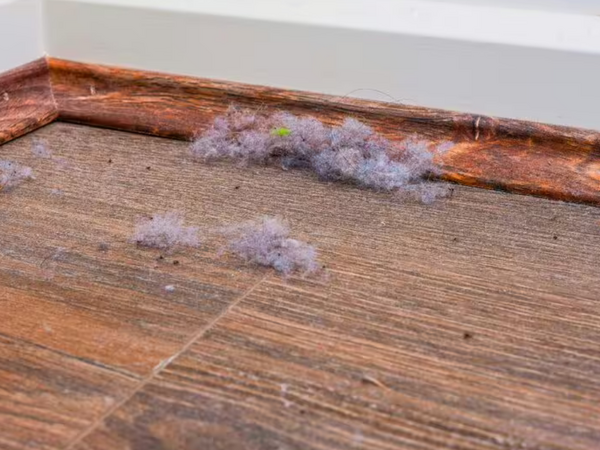 Plintus təmizliyi tarix olur: Kiçik amma təsirli metod