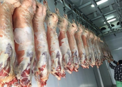 Bakıda satılan "monqol quzuları" təhlükəsizdir? - AÇIQLAMA