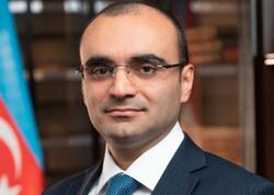 Nəsiminin icra başçısı vəzifəsindən azad edildi