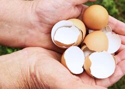 Yumurta qabıqlarını atmayın: Böyük xərcdən xilas olun