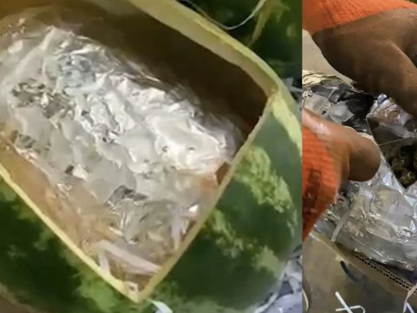 Qarpızın içindən narkotik çıxdı - <span class="color_red">FOTO</span>