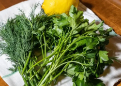 Təzyiqi salır, qanı duruldur: həkimlərin tövsiyə etdiyi sadə göyərti